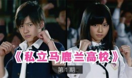 私立马鹿兰高校在线观看,青春校园的浪漫物语